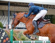Pina Conglove Gold GioCav2013 S5 2590 : Campionati Italiani Giovani Cavalli, Cattolica, Conglove Gold, Pina Gabriele, ph Stefano Secchi ©